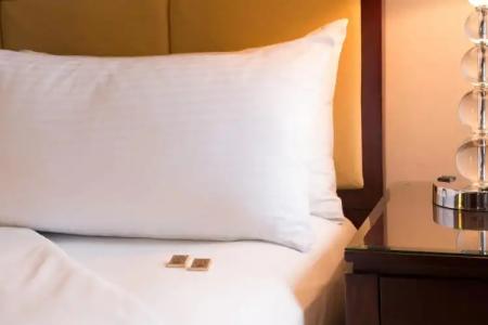 Millennium Knickerbocker Chicago - 30