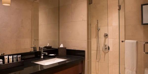 Millennium Knickerbocker Chicago - 54