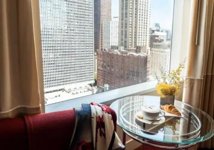 Sofitel Chicago Magnificent Mile - 7