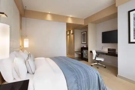 Wyndham Grand Istanbul Levent - 124