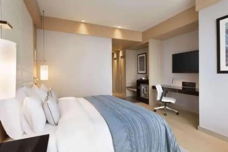 Wyndham Grand Istanbul Levent - 102