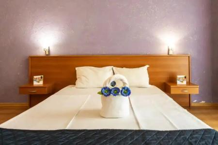 Complex Sunrise by HMG - All Inclusive - 18