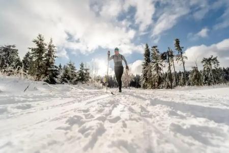 IFA Schöneck & Ferienpark - 30