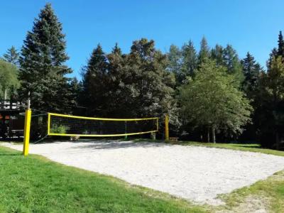 IFA Schöneck & Ferienpark - 25