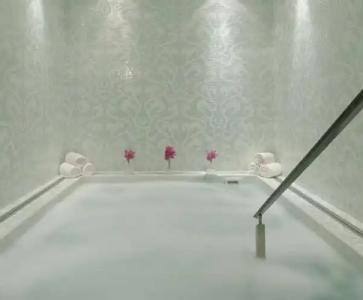 Waldorf Astoria Chicago - 15