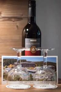 Vier Jahreszeiten am Schluchsee - 43