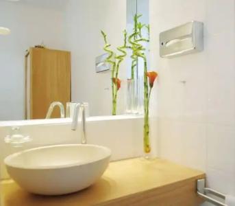 ambassador & spa - 49