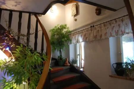 - Pension - Heidelberg inkl. Chiemgaukarte - 12