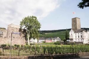 Hoteltraube Rudesheim, Rudesheim am Rhein