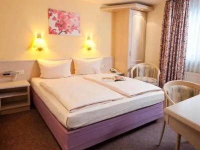 Hoteltraube Rüdesheim - 5