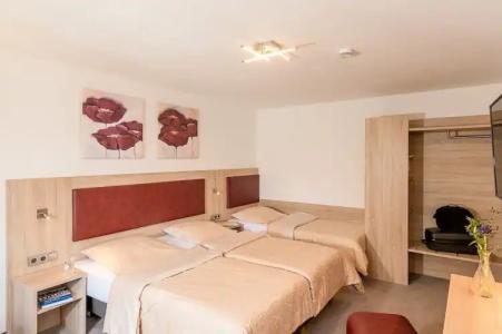 Altes Brauhaus garni - 27