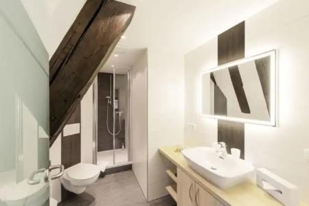 Altes Brauhaus garni - 15