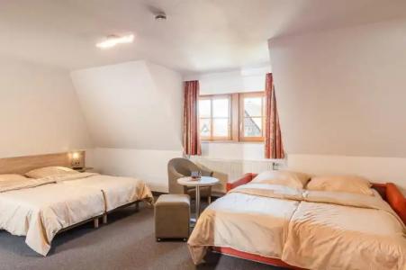 Altes Brauhaus garni - 25