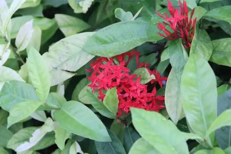 Mariya Boutique At Suvarnabhumi Airport - 34