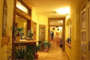 Ribnitz-Damgarten - Hotels