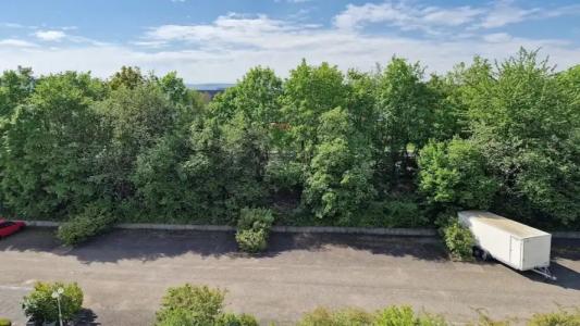 Fortuna Reutlingen-Tübingen - 39