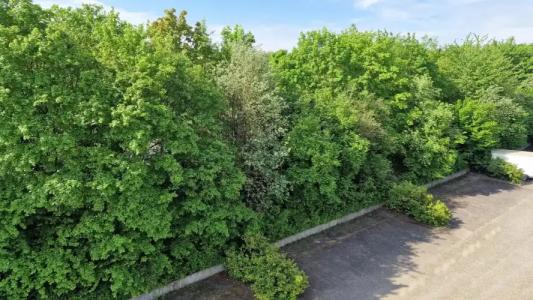 Fortuna Reutlingen-Tübingen - 24