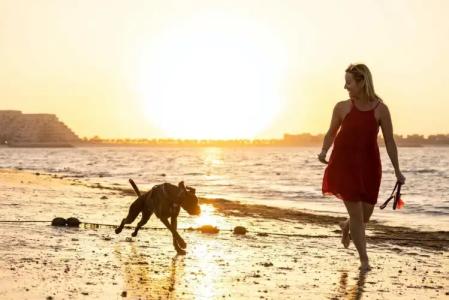 BM Beach Resort - 37