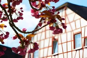 Hotel Reiler Hof, Reil