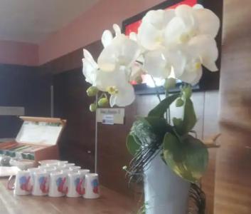 SORAT Insel-Regensburg - 46