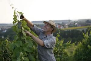 Worners Schloss Weingut & Wellness-Hotel, Prichsenstadt