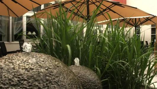 ParkKlüschenberg - 46