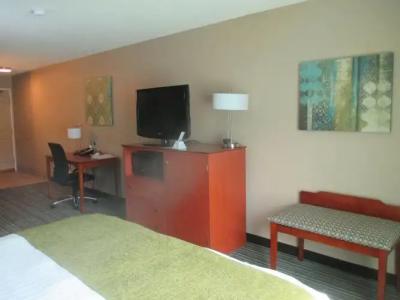 Best Western City Pirmasens - 5