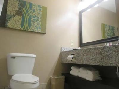 Best Western City Pirmasens - 8