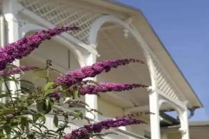Wald-Hotel, Ostseebad Sellin