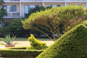 Ostseebad Prerow - Hotels