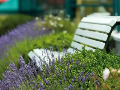 Travel Charme OstseeKühlungsborn - 49