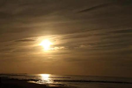 StrandDeichgraf Graal-Müritz - 3