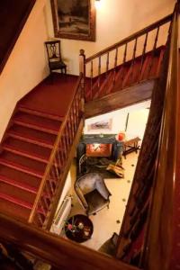 Stranddistel Rügen - 14