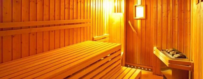 Stranddistel Rügen - 16