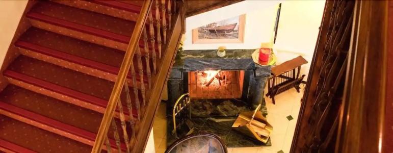 Stranddistel Rügen - 13