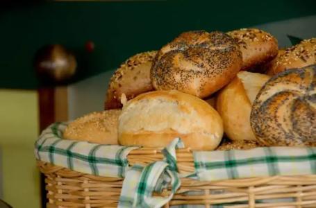 Stranddistel Rügen - 9