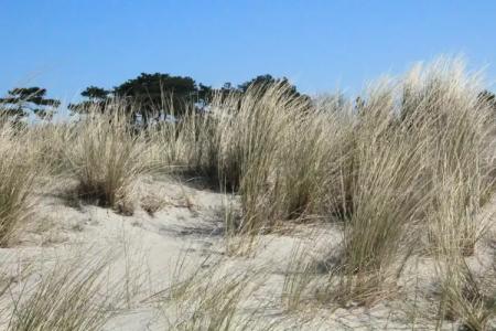 OstseeDierhagen - 24