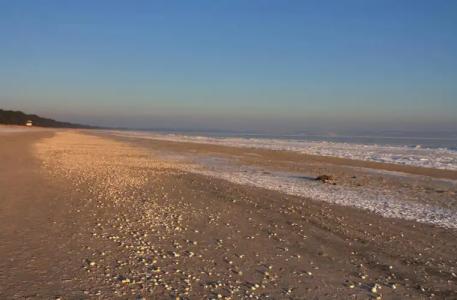 IFA Rügen & Ferienpark - 28