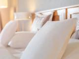 Comfort Suite