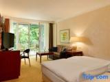 Comfort Double room with garden view