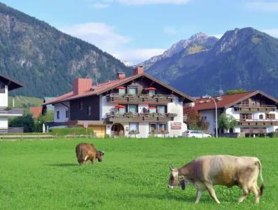 Best Western Plus Alpenhof - 283
