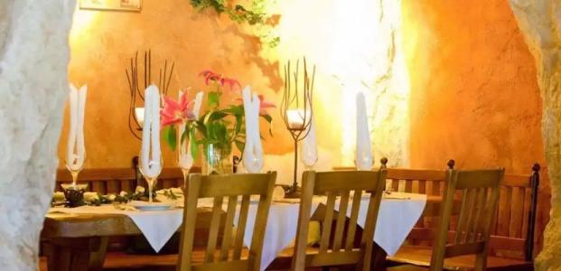 Feuriger Tatzlwurm - 21