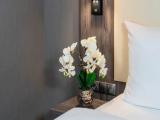 Standard Single room with park view