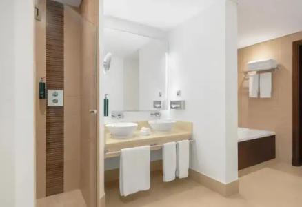 Hilton Ras Al Khaimah Beach Resort - 124