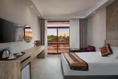 Pyramisa Island Aswan - 2