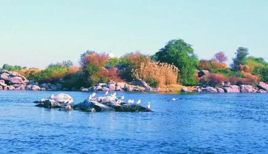 Pyramisa Island Aswan - 18