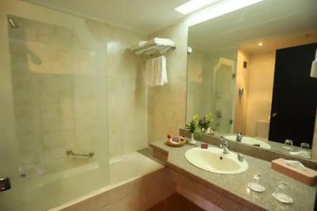 Pyramisa Island Aswan - 54