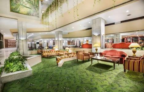 Pyramisa Island Aswan - 28