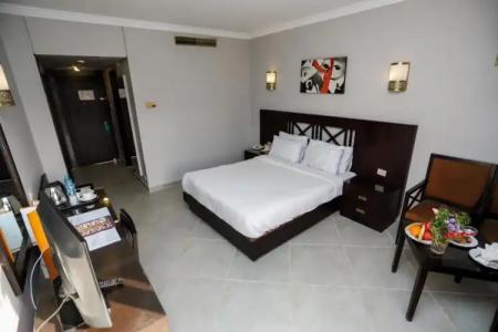 Pyramisa Island Aswan - 69