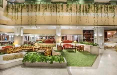 Pyramisa Island Aswan - 29